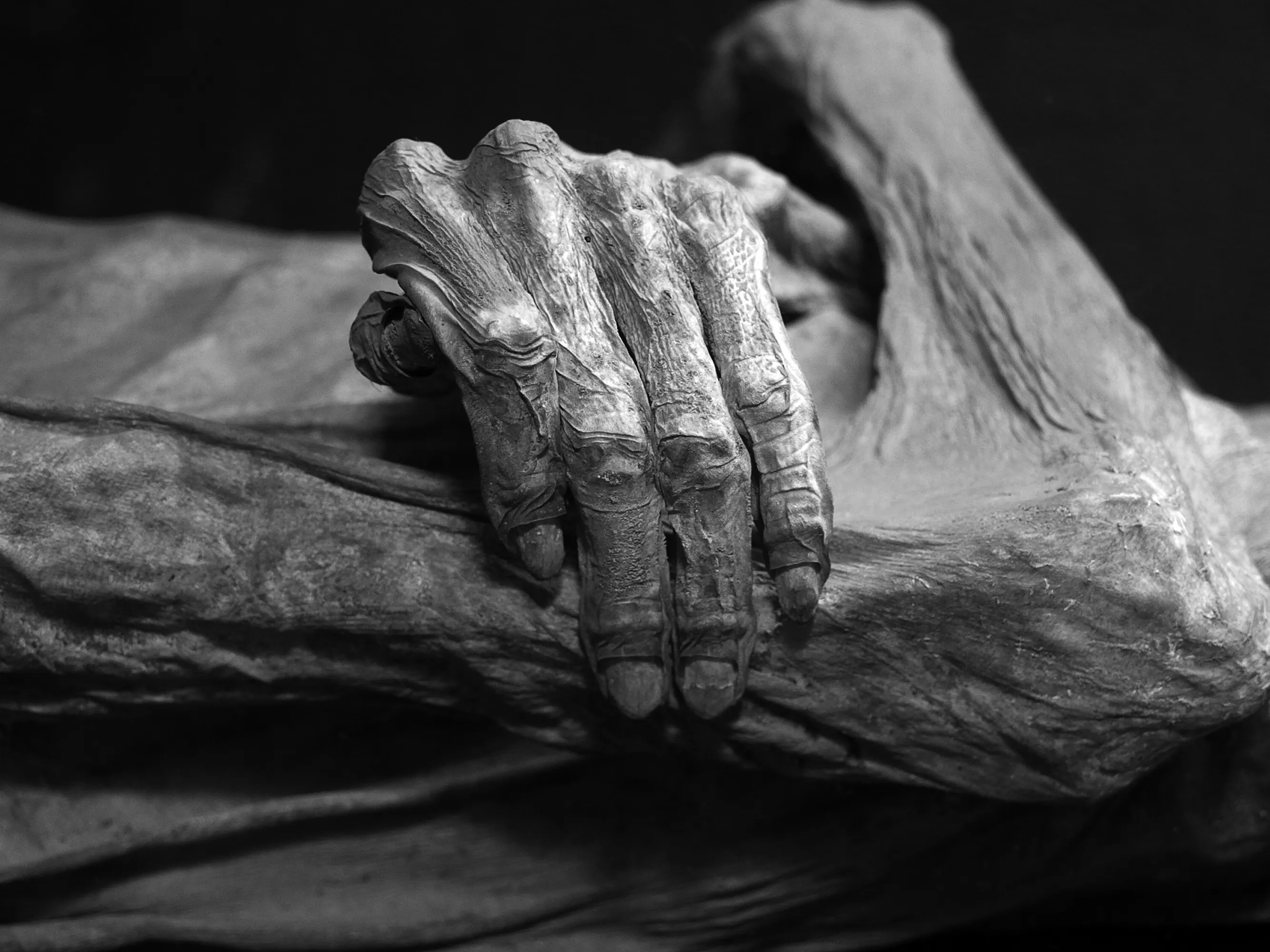 A close-up of a human body Description automatically generated